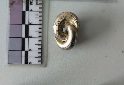 IMG 20250609 161027