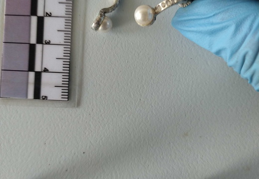 IMG 20250609 161946