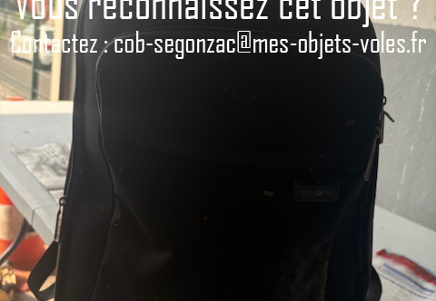 Sacs samsonite