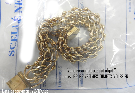 TC13 chaine or