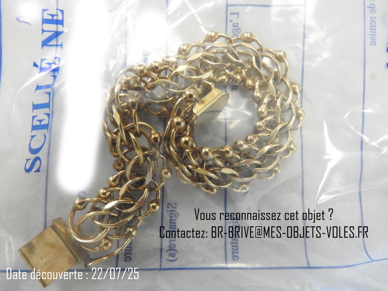 TC13 chaine or.JPG