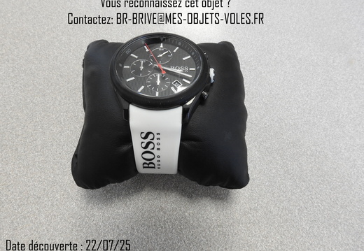 TC 19 montre Hugo Boss