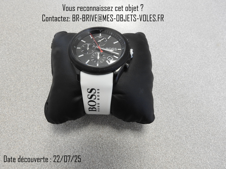 TC 19 montre Hugo Boss.JPG