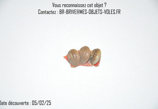 65CT