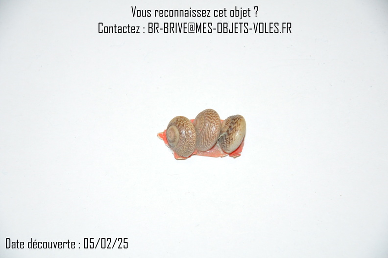 65CT.JPG