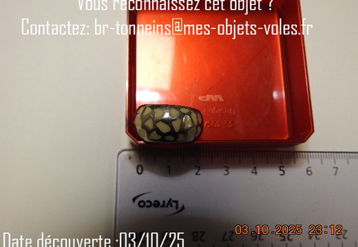 DSCN8013