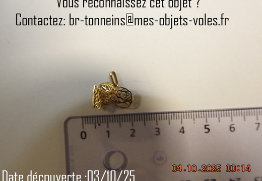 DSCN8111