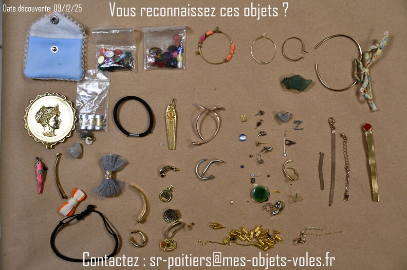CIC_2511 (Personnalisé).JPG