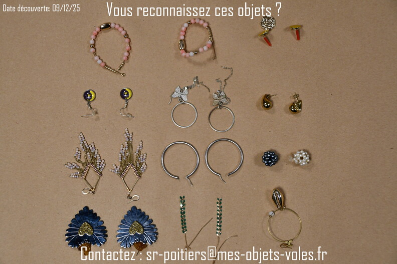 CIC_2505 (Personnalisé).JPG