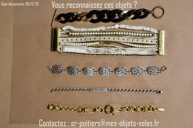 CIC_2487 (Personnalisé).JPG