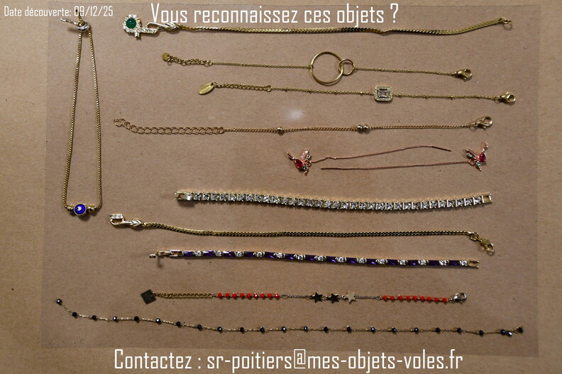 CIC_2500 (Personnalisé).JPG
