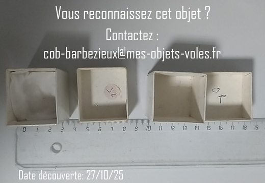 IMG 20251027 191324