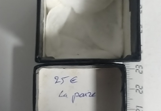 IMG 20251027 191424