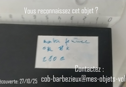IMG 20251027 191515