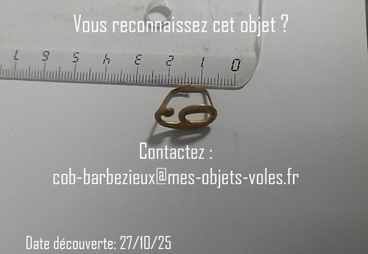 IMG 20251027 190240
