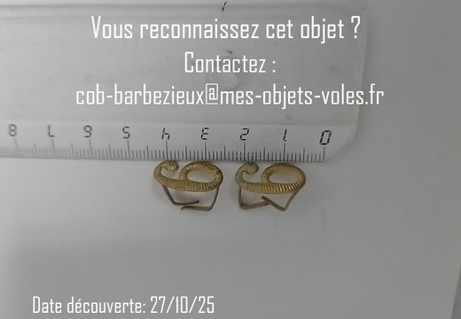 IMG 20251027 190257