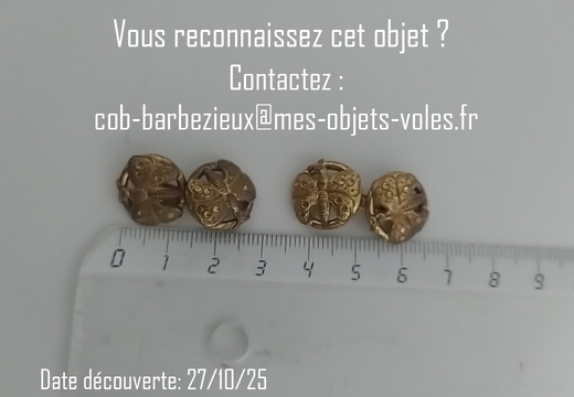 IMG 20251027 190323