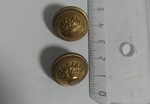 IMG 20251027 192132