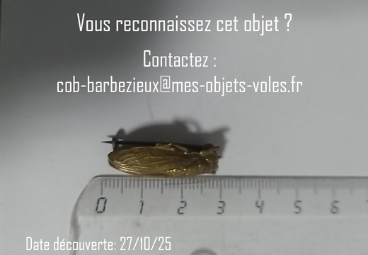IMG 20251027 190433