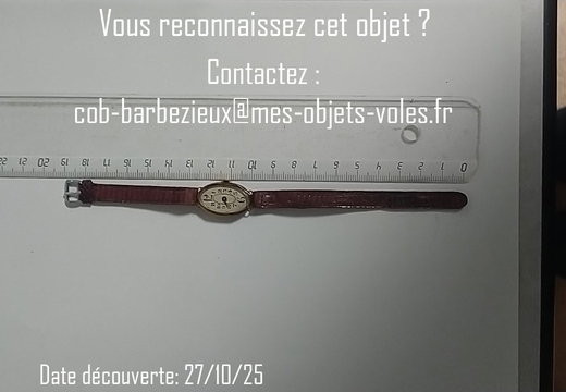 IMG 20251027 190835