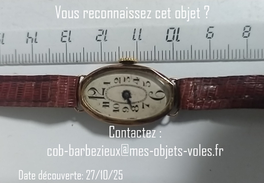 IMG 20251027 190845