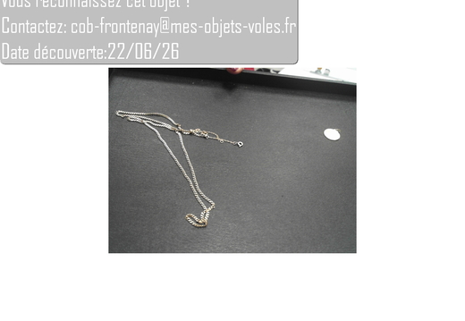 Photo454575325