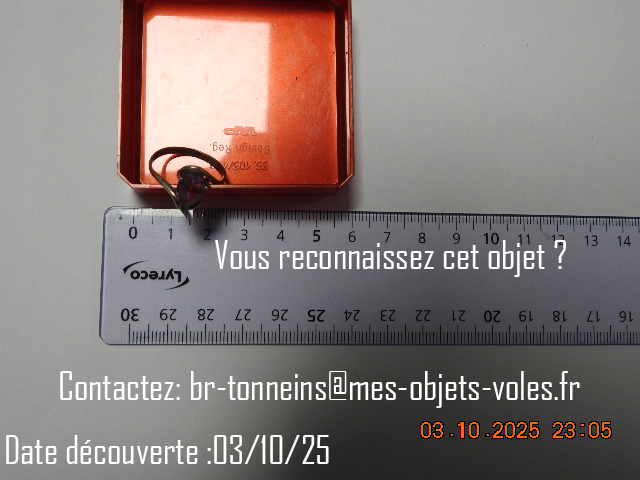 DSCN7988.JPG